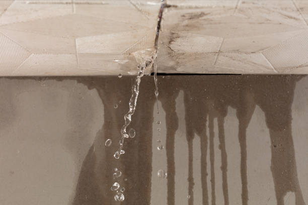 Professional Sewage Cleanup technician working in Vestaburg, MI